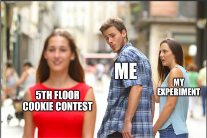 meme 2